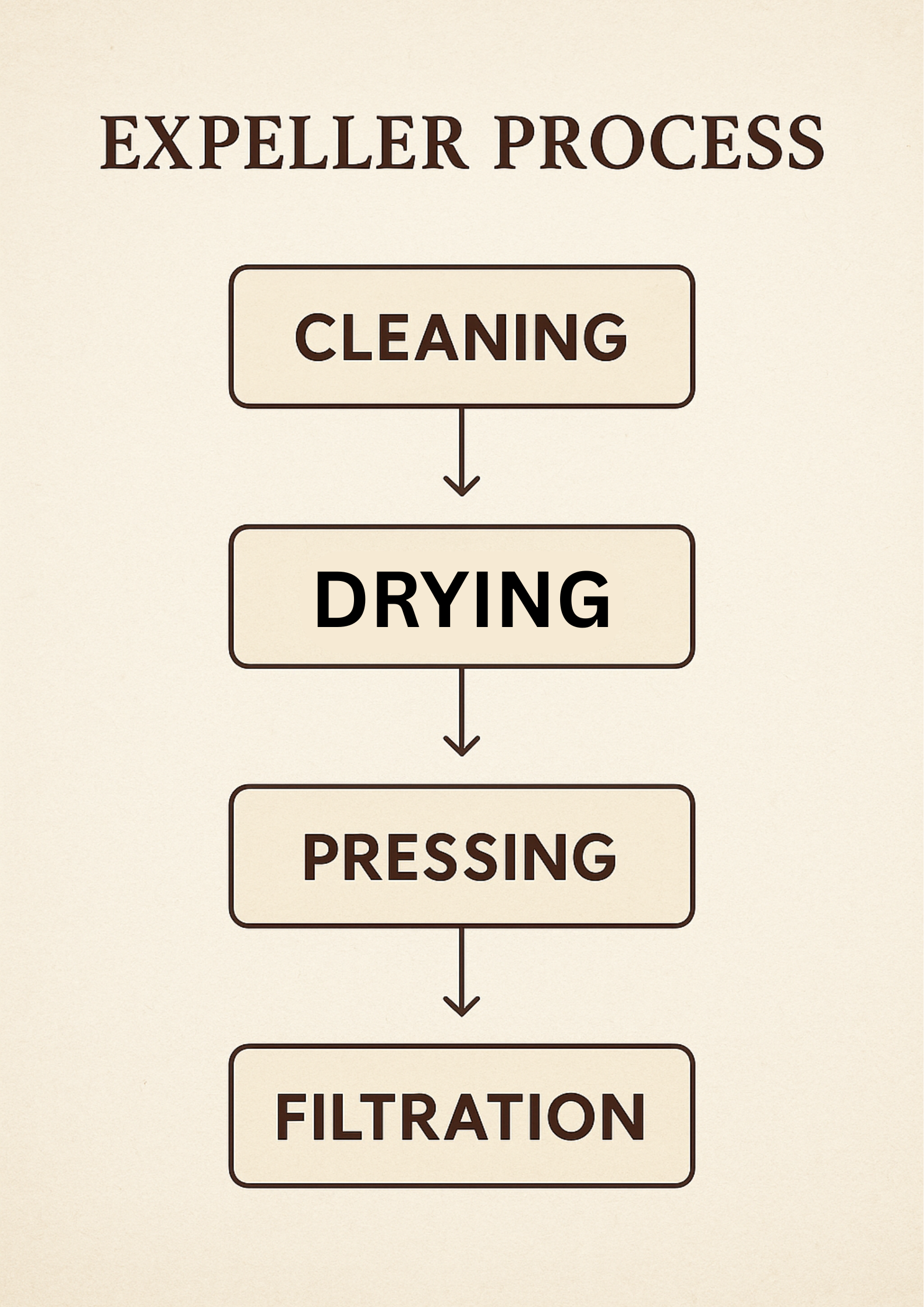 Oil Extraction Process
